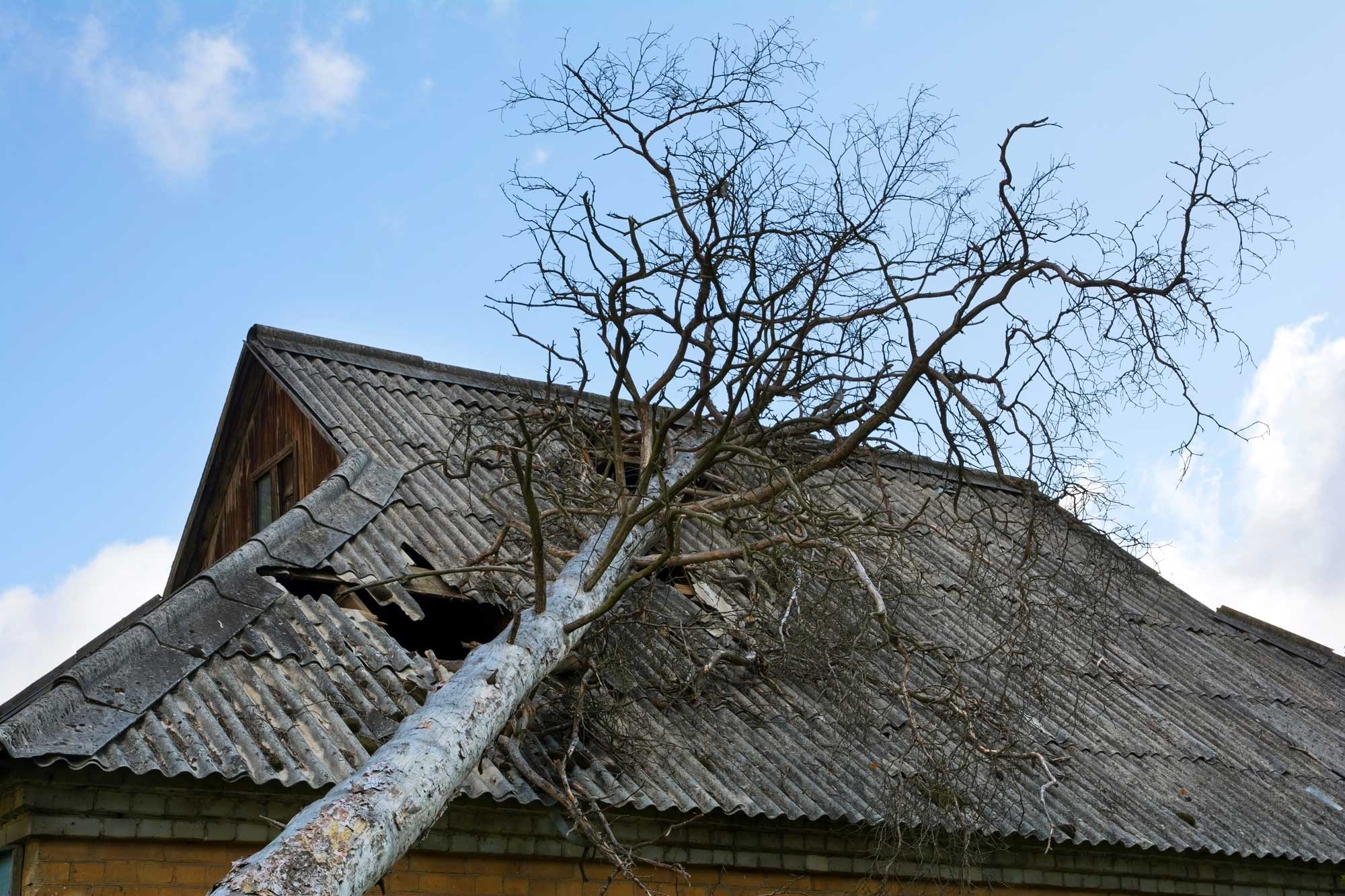 storm damage roof repair, roof damage, roof repair, Milwaukee