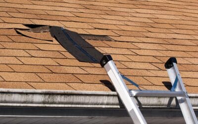 3 Steps to Take after a Storm Damages Your Roof in the Twin Cities