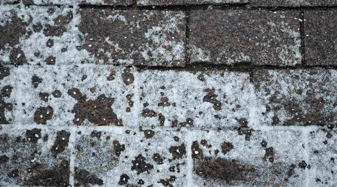 How To Inspect Your Roof for Hail Damage