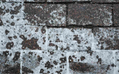How To Inspect Your Roof for Hail Damage