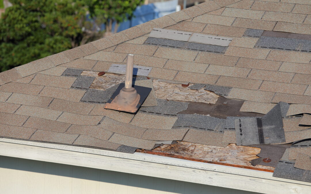 Minnesota Homeowners: What You Need to Know About the Age of Roof and Insurance