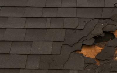 What to Do If Insurance Denied Roof Claim: Common Reasons and Solutions